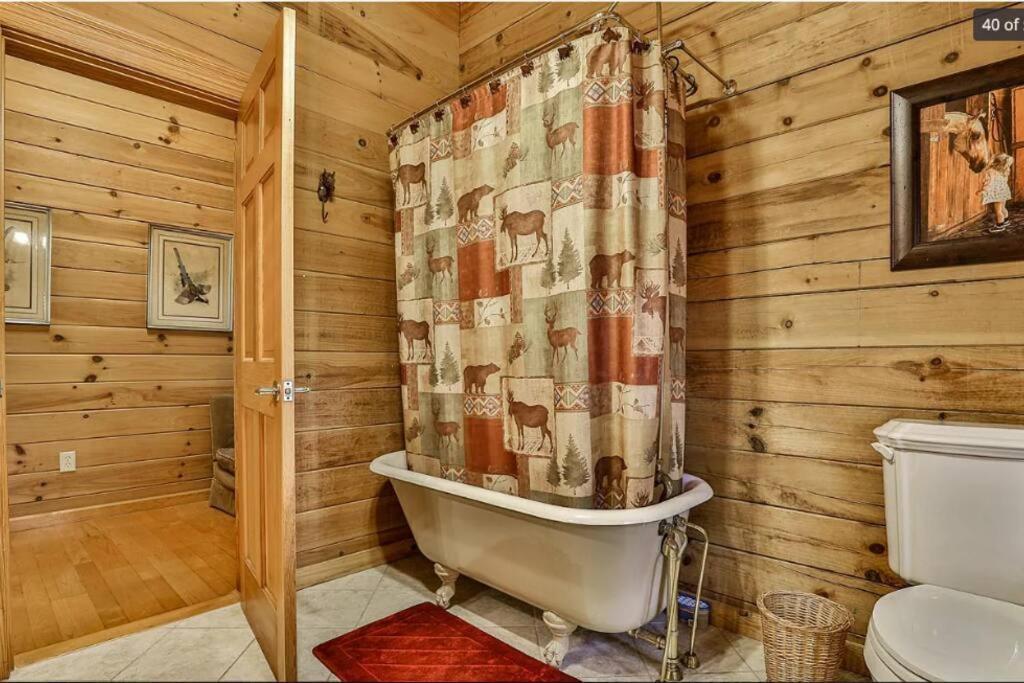 Blue Ridge Bliss- Spacious Cabin, Pets, Hot Tub! Luaran gambar