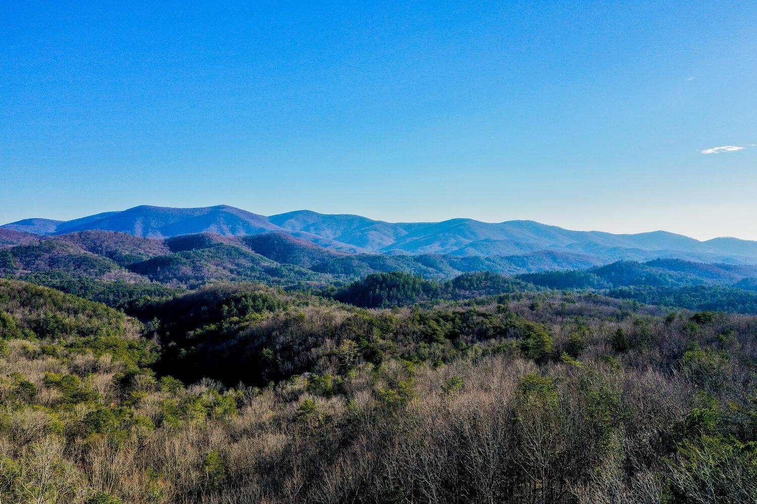 Blue Ridge Bliss- Spacious Cabin, Pets, Hot Tub! Luaran gambar